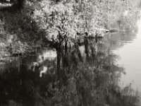 Uferspiegelung  PENTAX K-3 Mark III Monochrome, HD PENTAX - DA* 2.8/16-50 ED PLM AW   - 13.06.2025 -