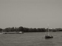 Motor und Segel  PENTAX K-3 Mark III Monochrome, HD PENTAX - DA* 2.8/16-50 ED PLM AW   - 13.06.2025 -