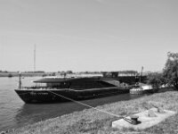 Göttin Ostara  PENTAX K-3 Mark III Monochrome, HD PENTAX - DA* 2.8/16-50 ED PLM AW   - 13.06.2025 -