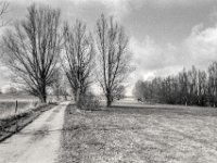 Hinterm Deich entlang  Pentax MZ-S, SMC Pentax FA 1.8/31 Limited, ADOX CHS 100 II   - 13.03.2025 -