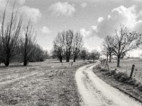 Geschlungene Wege  Pentax MZ-S, SMC Pentax FA 1.8/31 Limited, ADOX CHS 100 II   - 13.03.2025 -
