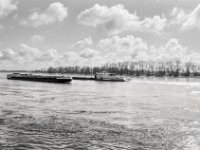 Begegnung im Fluss  Pentax MZ-S, SMC Pentax FA 1.8/31 Limited, ADOX CHS 100 II   - 13.03.2025 -