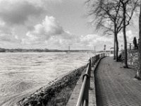Rees am Rhein  Pentax MZ-S, SMC Pentax FA 1.8/31 Limited, ADOX CHS 100 II   - 13.03.2025 -