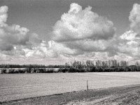 Dicke Wolken  Pentax MZ-S, SMC Pentax FA 1.8/31 Limited, ADOX CHS 100 II   - 13.03.2025 -