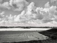 Die Landschaft wird ausgebaggert  Pentax MZ-S, SMC Pentax FA 1.8/31 Limited, ADOX CHS 100 II   - 13.03.2025 -