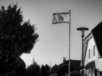 Das Dorfwappentier  PENTAX K-3 Mark III Monochrome, SMC PENTAX-FA 1.8/31 AL Limited  - 14.09.2025 -