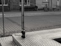 Abgestellt und vergessen ?  PENTAX K-3 Mark III Monochrome, SMC PENTAX-FA 1.8/31 AL Limited  - 14.09.2025 -
