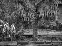 Schmuckband  PENTAX K-3 Mark III Monochrome, SMC PENTAX-FA 1.8/31 AL Limited  - 14.09.2025 -