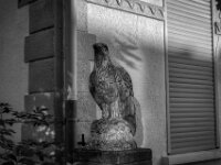 Steinadler  PENTAX K-3 Mark III Monochrome, SMC PENTAX-FA 1.8/31 AL Limited  - 14.09.2025 -