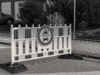 Vernünftig, doch nicht auf dauer  PENTAX K-3 Mark III Monochrome, SMC PENTAX-FA 1.8/31 AL Limited  - 14.09.2025 -