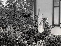 Frosch wo bist du real im Dorfleben ?  PENTAX K-3 Mark III Monochrome, SMC PENTAX-FA 1.8/31 AL Limited  - 14.09.2025 -