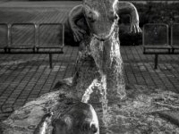 Wasserspeier  PENTAX K-3 Mark III Monochrome, SMC PENTAX-FA 1.8/31 AL Limited  - 14.09.2025 -