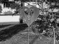 Willkommen  PENTAX K-3 Mark III Monochrome, SMC PENTAX-FA 1.8/31 AL Limited  - 14.09.2025 -