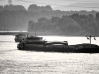 Frachtschiffe auf dem Rhein im Morgendunst  PENTAX K-3 Mark III Monochrome, SIGMA ZEN MIRROR-TELEPHOTO 8.0/600 MC  - 15.08.2025 -