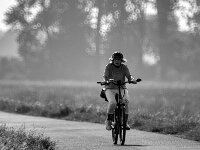 Deichbegegnung  PENTAX K-3 Mark III Monochrome, SIGMA ZEN MIRROR-TELEPHOTO 8.0/600 MC  - 15.08.2025 -