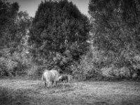 Groß und Klein  PENTAX K-1, HD PENTAX - D FA 2.8/24-70 ED SDM WR  - 17.10.2025  -