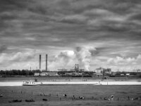 Industrie und Kühe am Rhein  PENTAX K-1, HD PENTAX - D FA 2.8/24-70 ED SDM WR  - 17.10.2025  -