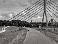 Krähe auf dem Rheindeich  PENTAX K-1, HD PENTAX - D FA 2.8/24-70 ED SDM WR  - 17.10.2025  -