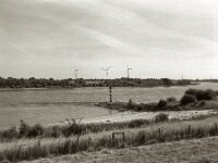 Rheinstrand  Pentax 67 II, SMC 2.4/105, Orange Filter, ADOX CHS 100 II   - 17.06.2025 -