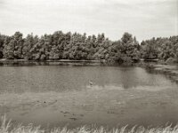 Kleiner See  Pentax 67 II, SMC 2.4/105, Orange Filter, ADOX CHS 100 II   - 17.06.2025 -