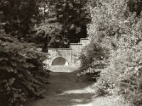 Der alte Brunnen im Park  Pentax 67 II, SMC 2.4/105, Orange Filter, ADOX CHS 100 II   - 17.06.2025 -