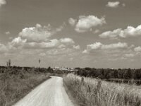 Weg und Wolken  Pentax 67 II, SMC 2.4/105, Orange Filter, ADOX CHS 100 II   - 17.06.2025 -