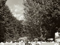 Rest in Peace  Pentax 67 II, SMC 2.4/105, Orange Filter, ADOX CHS 100 II   - 17.06.2025 -
