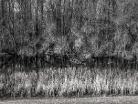 Ästhetik in Grau  PENTAX K-3 Mark III Monochrome, HD PENTAX - DA* 2.8/16-50 ED PLM AW  - 19.03.2025 -
