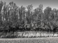 Am kleinen See  PENTAX K-3 Mark III Monochrome, HD PENTAX - DA* 2.8/16-50 ED PLM AW  - 19.03.2025 -