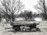 Schutz unterm Hänger  PENTAX K-3 Mark III Monochrome, HD PENTAX - DA* 2.8/16-50 ED PLM AW  - 19.03.2025 -