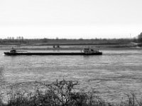Flussschiffer  PENTAX K-3 Mark III Monochrome, HD PENTAX - DA* 2.8/16-50 ED PLM AW  - 19.03.2025 -