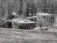 Nutria am Ufer  PENTAX K-3 Mark III Monochrome, HD PENTAX - DA* 2.8/16-50 ED PLM AW  - 19.03.2025 -