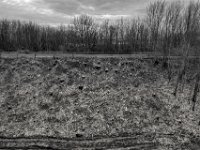 Sinnlose Aktion  PENTAX K-3 Mark III Monochrome, HD PENTAX - DA* 2.8/16-50 ED PLM AW  - 21.02.2025 -