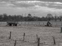 Sturmopfer auf der Weide  PENTAX K-3 Mark III Monochrome, HD PENTAX - DA* 2.8/16-50 ED PLM AW  - 21.02.2025 -
