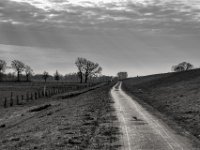Weg am Rheindeich  PENTAX K-3 Mark III Monochrome, HD PENTAX - DA* 2.8/16-50 ED PLM AW  - 21.02.2025 -