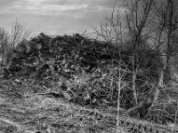 Abholzung  PENTAX K-3 Mark III Monochrome, HD PENTAX - DA* 2.8/16-50 ED PLM AW  - 21.02.2025 -