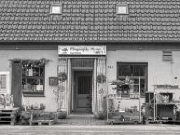 Fliegenpilz und Maiwald  PENTAX K-3 Mark III Monochrome, HD PENTAX - DA* 2.8/16-50 ED PLM AW  - 21.02.2025 -