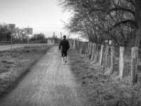 Der Läufer  PENTAX K-3 Mark III Monochrome, HD PENTAX - DA* 2.8/16-50 ED PLM AW  - 21.02.2025 -