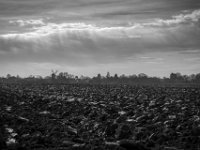 Wolken überm Acker  PENTAX K-3 Mark III Monochrome, HD PENTAX - DA* 2.8/16-50 ED PLM AW  - 21.02.2025 -