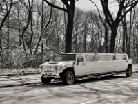 Gestreckt  PENTAX K-3 Mark III Monochrome, SMC PENTAX-FA 1.8/31 AL Limited   - 21.03.2025 -