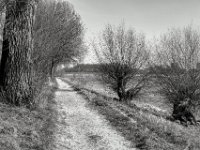 Am Rhein  PENTAX K-3 Mark III Monochrome, SMC PENTAX-FA 1.8/31 AL Limited   - 21.03.2025 -