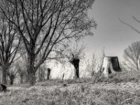 Baumstumpf und Kopfweiden  PENTAX K-3 Mark III Monochrome, SMC PENTAX-FA 1.8/31 AL Limited   - 21.03.2025 -