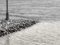 Bewegung im Wasser  PENTAX K-3 Mark III Monochrome, SMC PENTAX-FA 1.8/77 Limited  - 21.03.2025 -