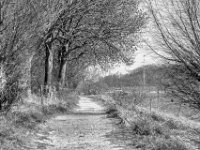 Es geht weiter am Ufer  PENTAX K-3 Mark III Monochrome, SMC PENTAX-FA 1.8/77 Limited  - 21.03.2025 -