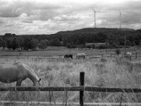 Stille Szene  Fuji GW 690 III, Kodak Tri-X 400  - 22.08.2025 -