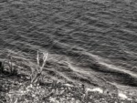 Windiger Wellengang  PENTAX K-3 Mark III Monochrome, HD PENTAX - DA* 2.8/16-50 ED PLM AW  - 24.09.2025 -