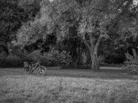 Fotostop  PENTAX K-3 Mark III Monochrome, HD PENTAX - DA* 2.8/16-50 ED PLM AW  - 24.09.2025 -