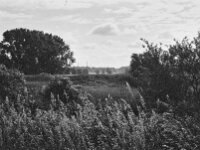 Landschaft im dunstigen Licht  Pentax Super A, SMC PENTAX-FA 1.9/43 Limited  - 26.05.2025 -