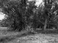 Ast Wigwam  Pentax Super A, SMC PENTAX-FA 1.9/43 Limited  - 26.05.2025 -