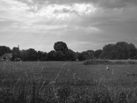 Futtersuche  Pentax Super A, SMC PENTAX-FA 1.9/43 Limited  - 26.05.2025 -